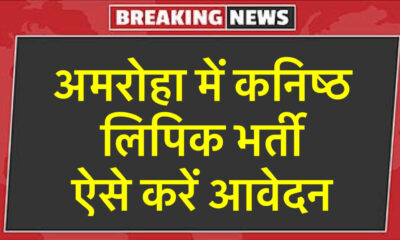 कनिष्ठ लिपिक भर्ती