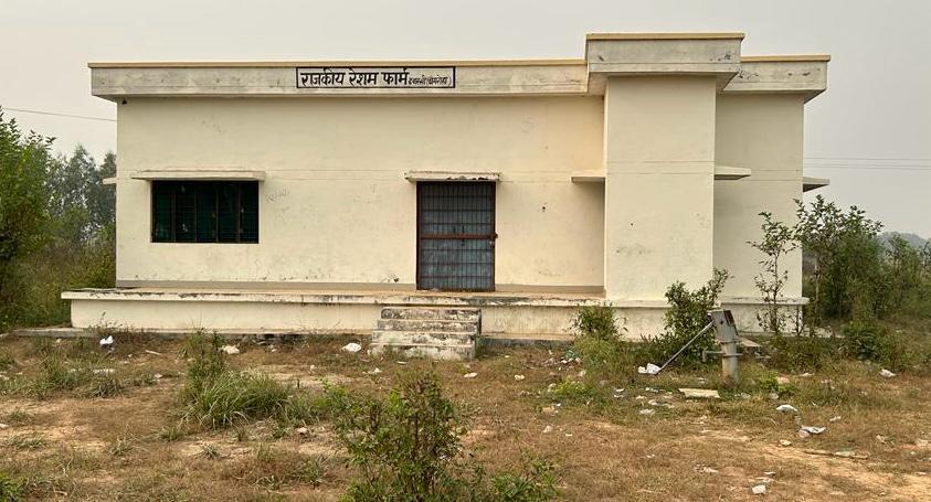 रेशम की खेती करने से किसानों को होगा बंपर मुनाफा, ऐसे करें जानकारी safar news PHOTO 2025 05 23 18 52 18