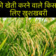 धान की खेती