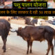 पशुपालन लोन योजना