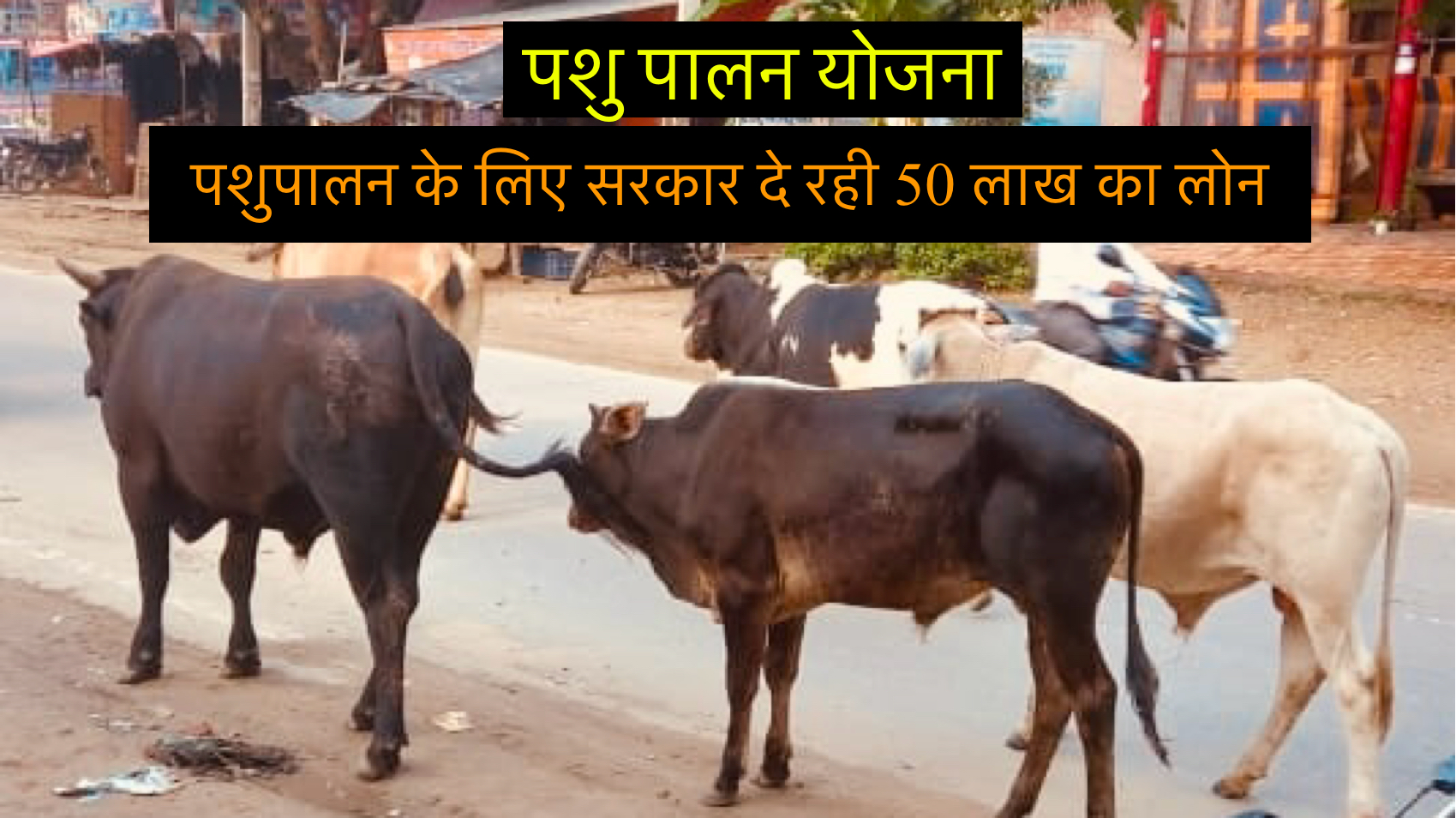 पशुपालन लोन योजना: सरकार दे रही ₹50 लाख का लोन safar news पशुपालन लोन योजना