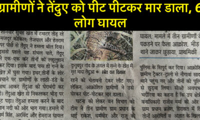 ग्रामीणों ने तेंदुए को