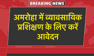 व्यावसायिक प्रशिक्षण