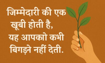 जिम्मेदारी