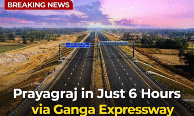 67D20F45 3D60 4466 8B5E 506F6A52F853